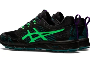 ASICS FUJI LITE™ | Trail running>GEL-FUJISETSU 3 GTX Black/New Leaf
