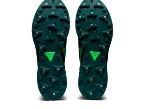 ASICS FUJI LITE™ | Trail running>GEL-FUJISETSU 3 GTX Black/New Leaf