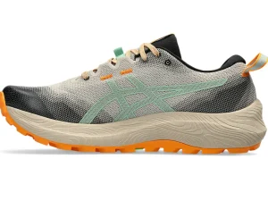 ASICS GEL-TRABUCO™ | Trail running>GEL-TRABUCO 12 Feather Grey/Dark Mint