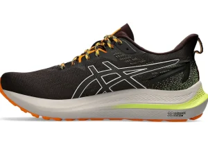 ASICS GT-2000™ | Hardloopschoenen>GT-2000 12 TR Nature Bathing/Neon Lime