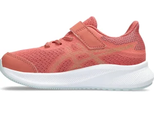 ASICS Verder hardlopen - neutral | Hardloopschoenen>PATRIOT 13 PS Light Garnet/Champagne
